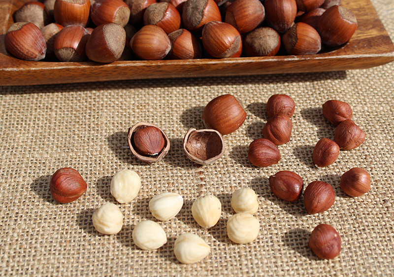 what-are-hazelnuts