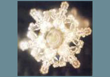 what-causes-aging-related-page