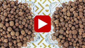 what-is-allspice-vid
