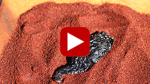 what-is-chipotle-vid