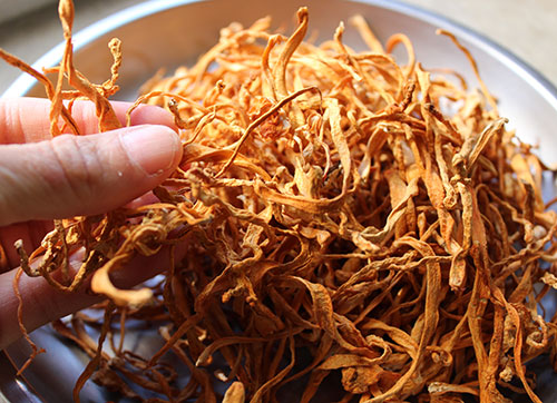 what-is-cordyceps-dried-mushroom-pieces