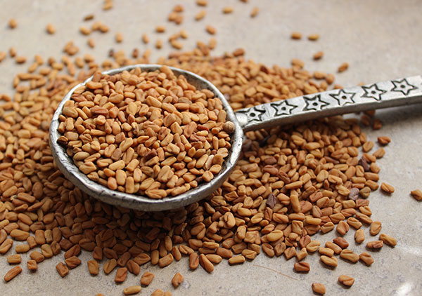 what-is-fenugreek-seed what-is-fenugreek-seed