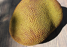 what-is-jackfruit-related-pages