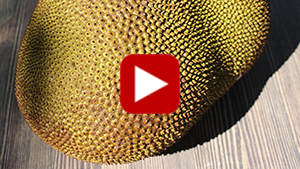what-is-jackfruit-vid
