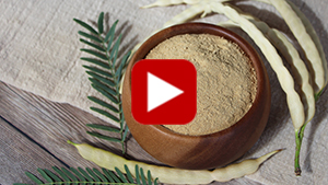 what-is-mesquite-powder-vid