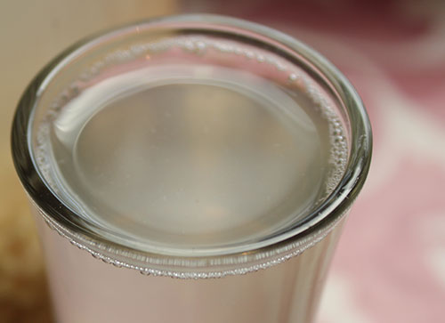 what-is-rejuvelac-fermented-drink