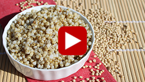 what-is-sorghum-vid