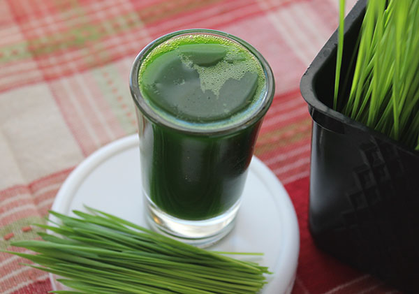 Wheatgrass Juice Benefits The Green Liquid Superfood