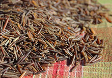 what-is-wild-rice-page