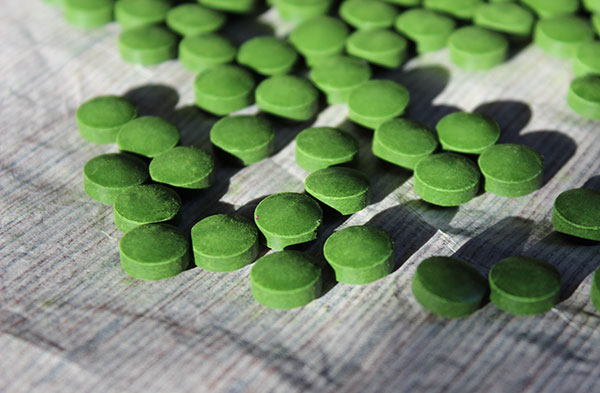 what-it-chlorella-algae-tablet what-it-chlorella-algae-tablet