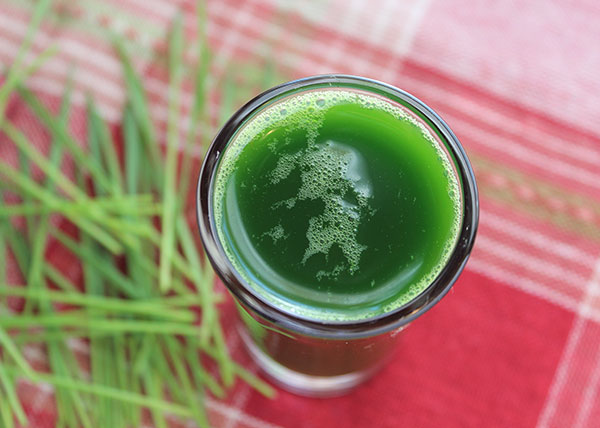 wheatgrass-juice-benefits-shot-glass wheatgrass-juice-benefits-shot-glass