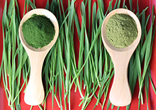 wheatgrass-juice-powder-related-pages