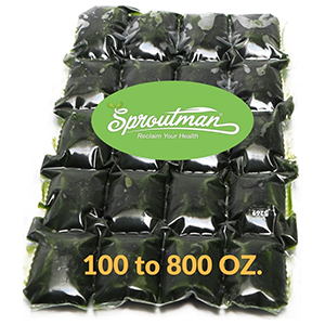 wheatgrass-juice-shots-sproutman