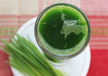 wheatgrass-related-pages