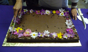 wild-edible-flowers-cake-decor wild-edible-flowers-cake-decor