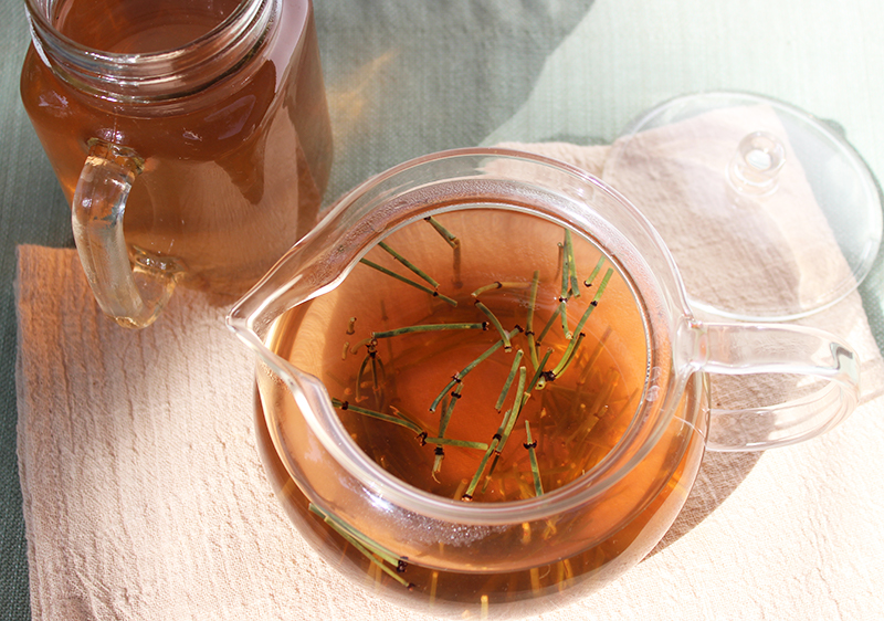 wild-epedra-herb-tea wild-epedra-herb-tea