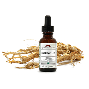 astragalus-extract-mrh