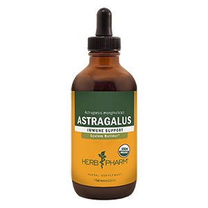 astragalus-herb-pharm