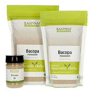 bacopa-powder-banyan