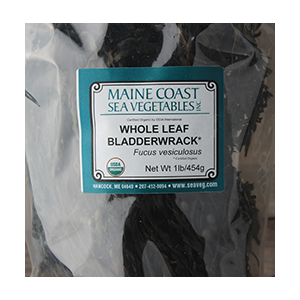 bladderwrack-dried-whole-maine-coast-sea-vegetables