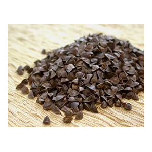 buckwheat-sprouting-seeds