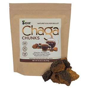 chaga-chunks-sayan