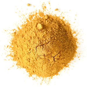 cordyceps-extract-powder-mrh