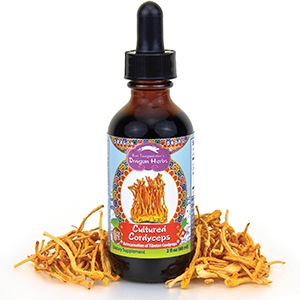 cordyceps-liquid-dragon