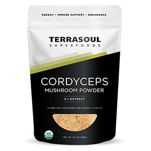 cordyceps-powder-terrasoul