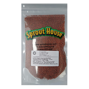 cress-curly-sprout-garden-amazon