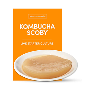 scoby-culture-joshua